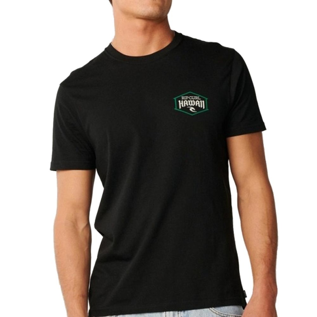 Imagem 1 do produto Camiseta Rip Curl Aloha State Lockup Masculina
