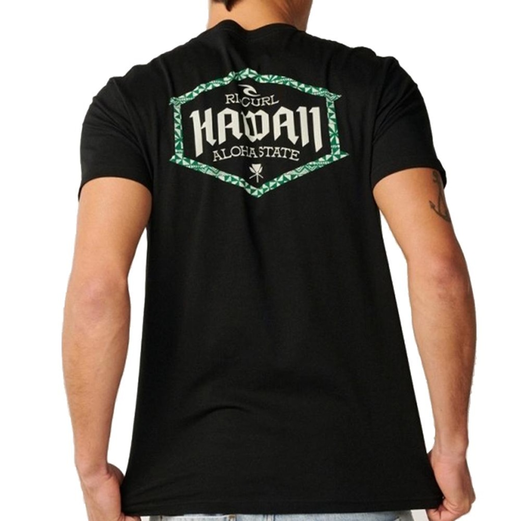 Imagem 2 do produto Camiseta Rip Curl Aloha State Lockup Masculina