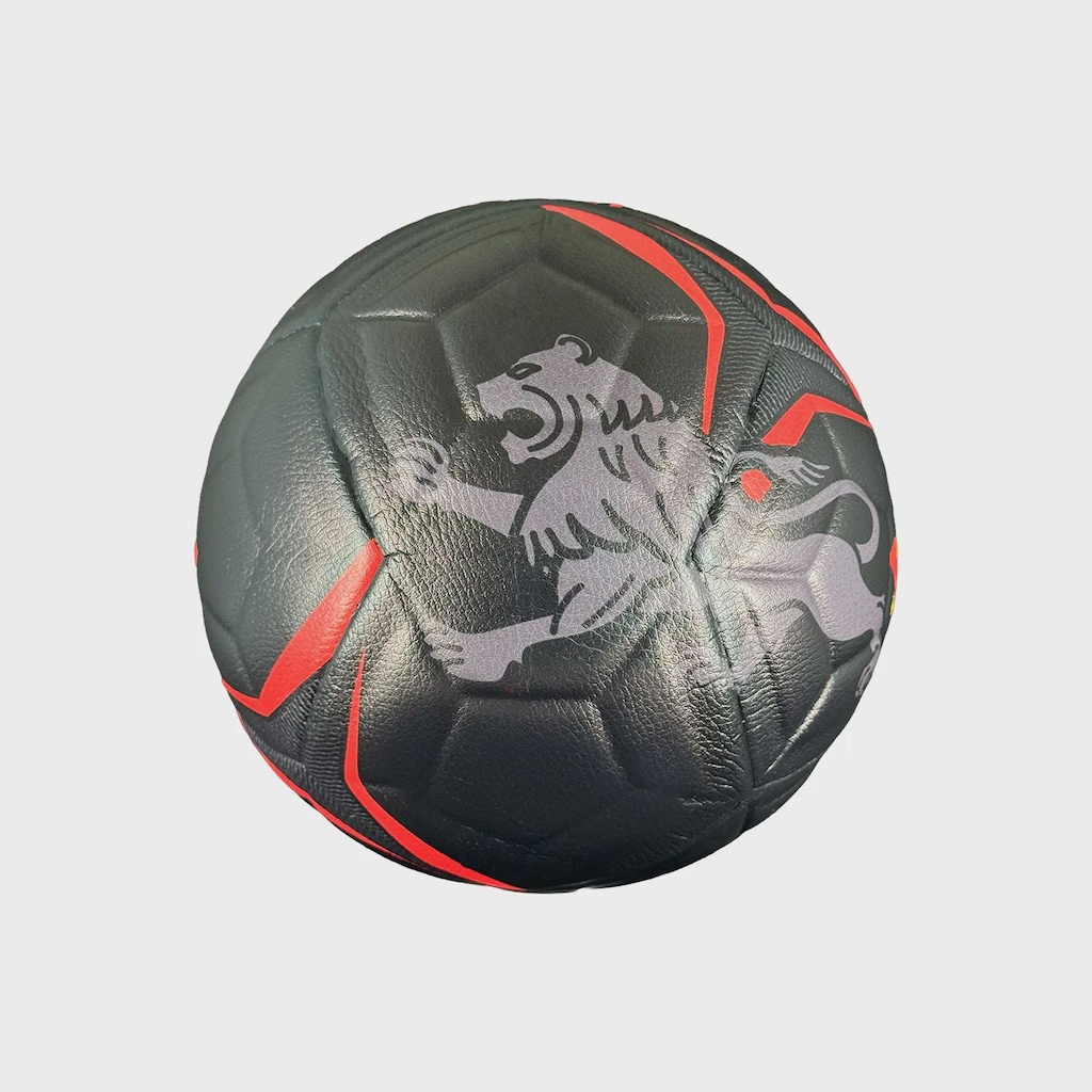 Imagem 3 do produto Mini Bola de Futebol Sport Club do Recife Allpha