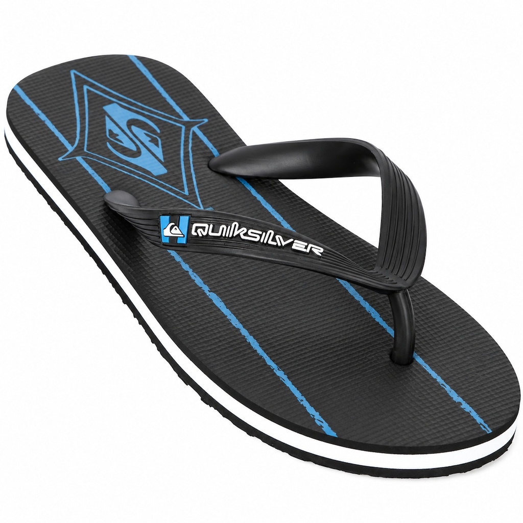 Imagem 2 do produto Chinelo Quiksilver Molokai Swell Squad Masculino