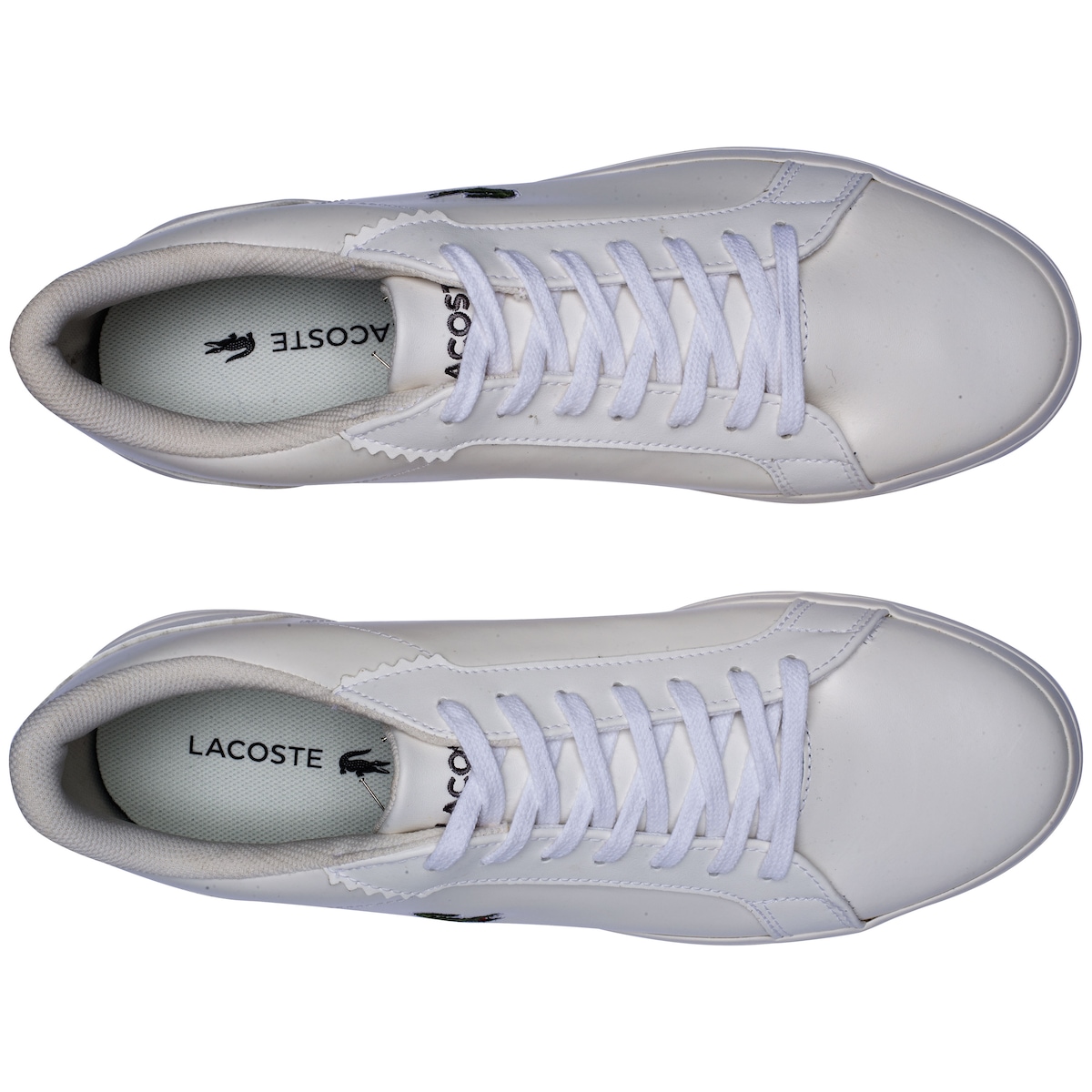 ロゴストロンL ti-22 ロゴストロンL ロゴストロンL ti-22 ロゴストロンL ti-22 ロゴストロンL