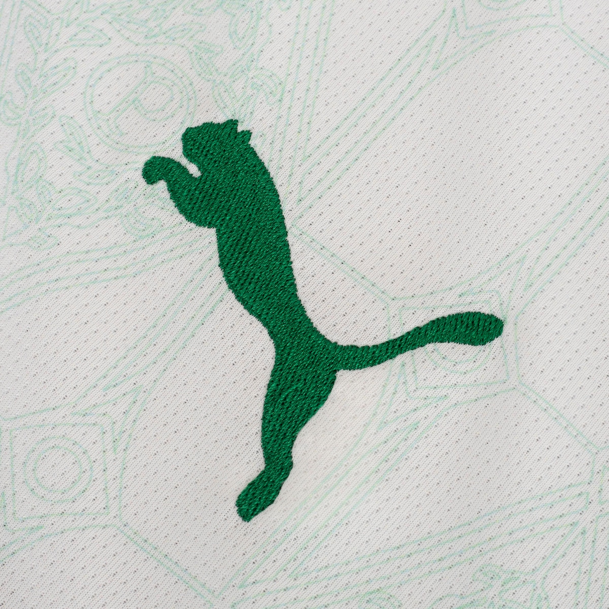 Camisa do Palmeiras II 25 Puma Masculina Torcedor - Foto 4