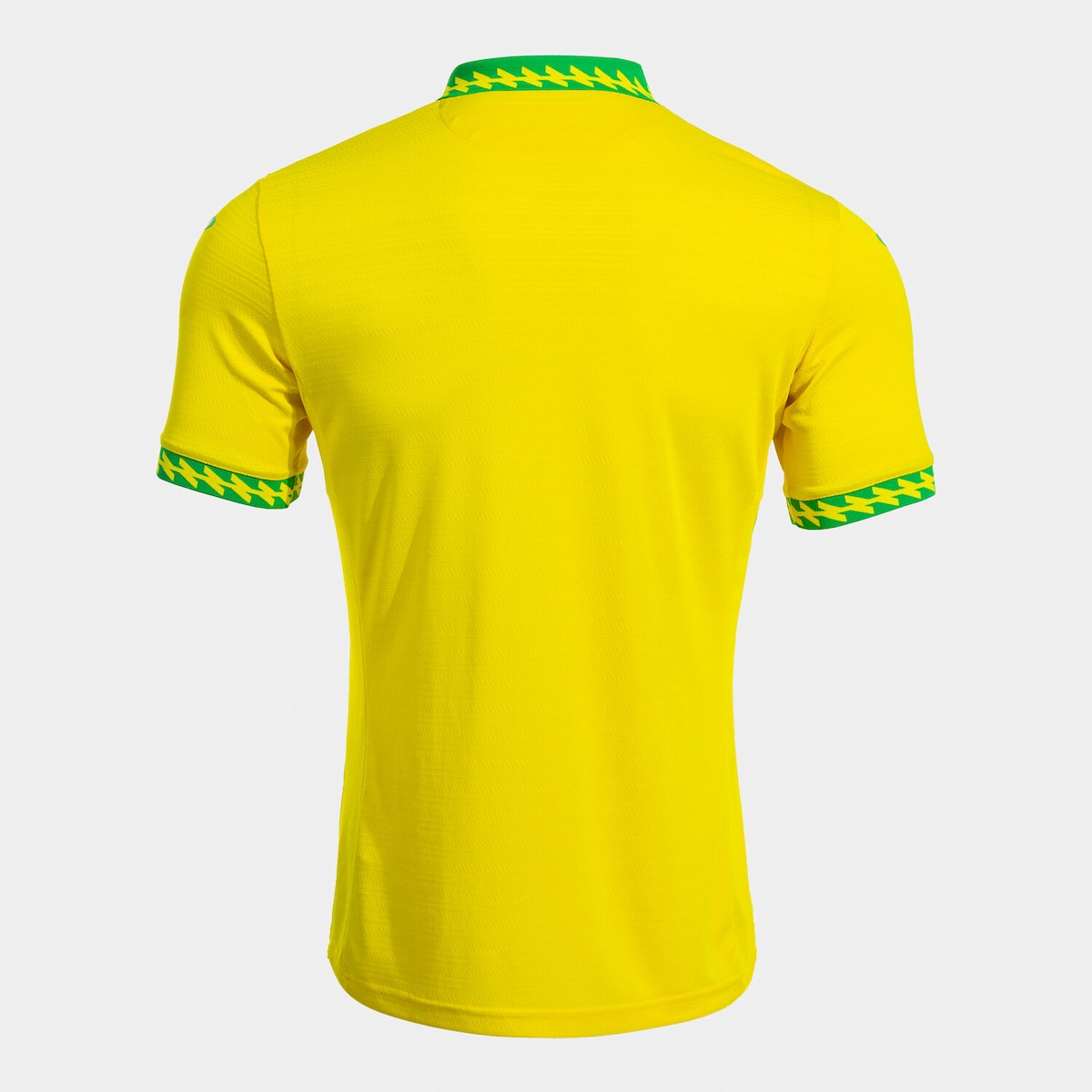 Camisa Norwich I 25/26 Masculina Joma | Centauro