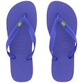 Chinelo Havaianas Brasil - Unissex AZUL