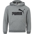 Blusão Puma Essential Big Logo com Capuz Fl B - Infantil CINZA