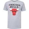 Camiseta Chicago Bulls NBA Manga Curta Estampada - Masculina CINZA MESCLA