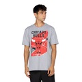 Camiseta Chicago Bulls Masculina NBA Manga Curta Backcourt CINZA MESCLA