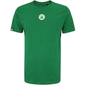 Camiseta do Boston Celtics NBA Masculina Core VERDE