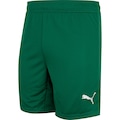 Calção do Palmeiras II 25 Puma Masculino VERDE