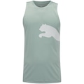 Camiseta Regata Masculina Puma Tad Big Logo WCR 6