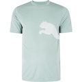 Camiseta Masculina Puma Manga Curta Tad Big Logo WCR 6