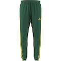 Calça adidas Nations Pack House of Tiro Masculina VERDE/AMARELO