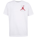 Camiseta Nike Jordan Triangle Logo Juvenil BRANCO