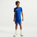 Camiseta Nike B Nk Df Trphy23 Ss T Infantil AZUL