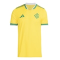 Camisa adidas Internacional Brasil 26 Masculina AMARELO/VERDE