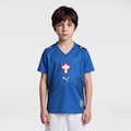 Camisa do Palmeiras III 2026/27 Puma Torcedor Infantil AZUL