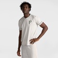 Camisa do Palmeiras Match Day Puma Masculina CINZA/VERDE