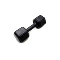 Dumbbell Sextavado Iniciativa Fitness Pintado - 24Kg - Unidade Nao Se Aplica