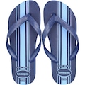 Chinelo Havaianas Essential - Masculino AZUL