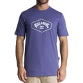Camiseta Billabong Exit Arch Sm24 - Masculina VINHO