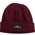 Gorro Quiksilver Performer Patch VINHO