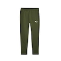 Calça de Moletom Puma Evostripe - Masculina VERDE