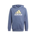 Blusão adidas Bl 2 Hoodie - Infantil CINZA/AMARELO