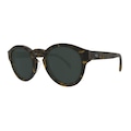 Óculos de Sol Hb Buzz Classical Havana G15 - Unissex MARROM