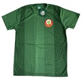 Camisa do Palmeiras Spr Palestra Itália Oficial Limitada - Masculina VERDE