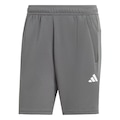 Shorts Treino adidas Train Essentials All Set - Masculino CINZA