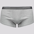 Cueca Lupo Basic com Elastano Adulto CINZA