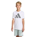 Camiseta adidas Essentials - Infantil PRETO