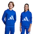 Blusão adidas Capuz Essentials Infantil - Infantil AZUL