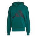 Blusão de Moletinho Capuz adidas Essentials Big Logo - Masculino VERDE