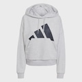 Blusão de Moletom Capuz adidas Essentials Big Logo French Terry Loose - Feminino CINZA