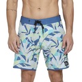Bermuda Quiksilver Everyday Wave Days Scallop 18" - Masculina VERDE