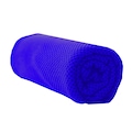 Kit Toalha de Microfibra Gold Sports com Capa de Silicone e Mosquetão AZUL