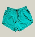 Shorts Praia Elastano Premium WSS Basic - Feminino VERDE