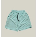Shorts WSS Elastano Premium Basic - Masculino VERDE CLARO
