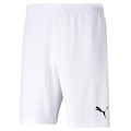 Calção Puma TeamRise Masculino BRANCO