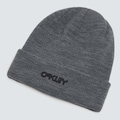 Gorro Oakley B1B Logo Beanie CINZA