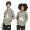 Blusão de Moletom Infantil adidas Essentials Big Logo CINZA