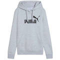 Blusão de Moletom Puma Essentials Logo Hoodie Feminino CINZA