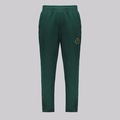 Calça do Palmeiras Futfanatics Golden Masculina VERDE