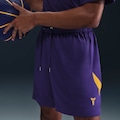 Shorts Nike Kobe Bryant Masculino ROSA/ROXO
