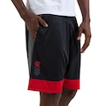 Bermuda Braziline Flamengo Fruir Masculina PRETO