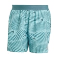 Short adidas Corrida Adi365 Brand Love Masculino VERDE