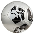 Bola de Futebol de Campo Puma Big Cat PRATA