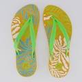 Chinelo Kenner Ibiza Algas Feminino VERDE