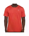Camiseta Puma Performance SS Tee Masculina LARANJA